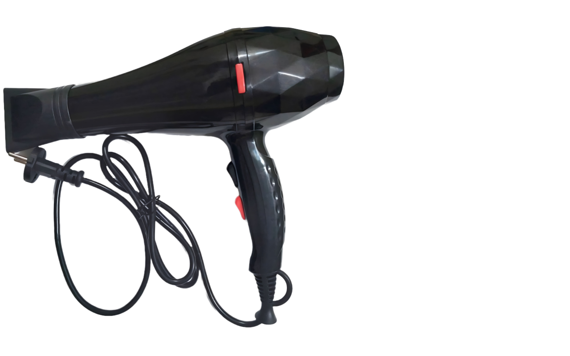 Professional Hair Dryer